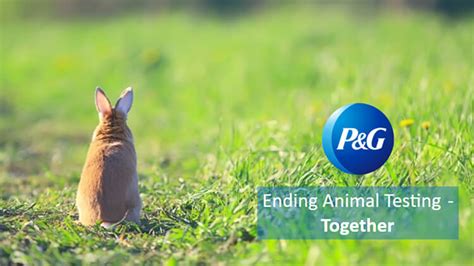 procter and gamble animal testing|P&G Ends Animal Testing On Its 19 Cosmetic Brands.
